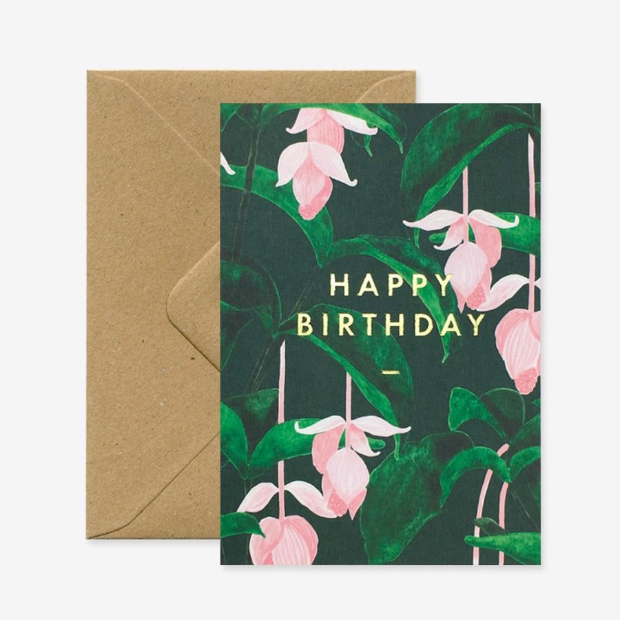 Cards All the Ways to Say | Happy Birthday Medinilla Card