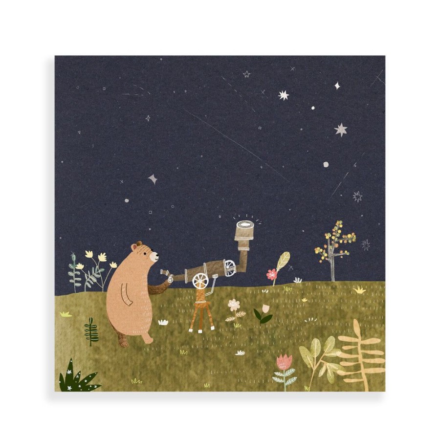 Cards After Providence | Brown Bear Square Postcard