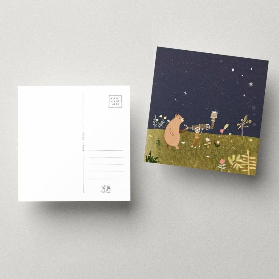 Cards After Providence | Brown Bear Square Postcard