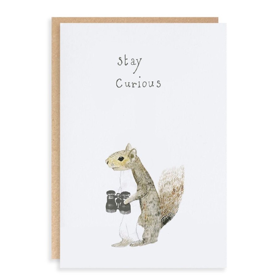 Cards Dear Prudence | Stay Curious Everyday Card