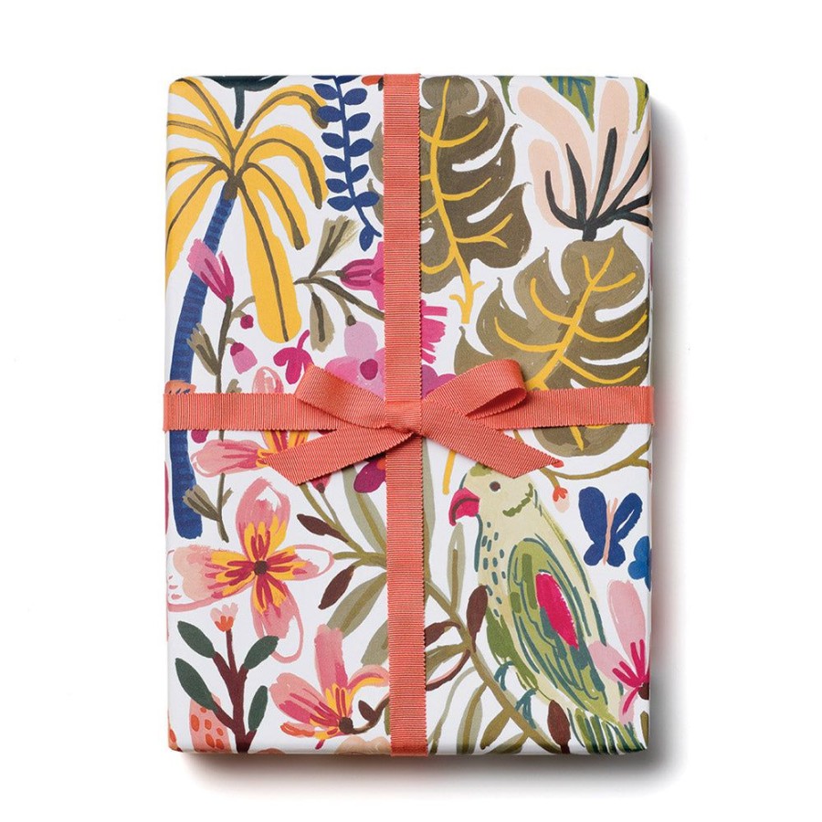 Wrap Red Cap Cards | Tropical Jungle Gift Wrap Roll