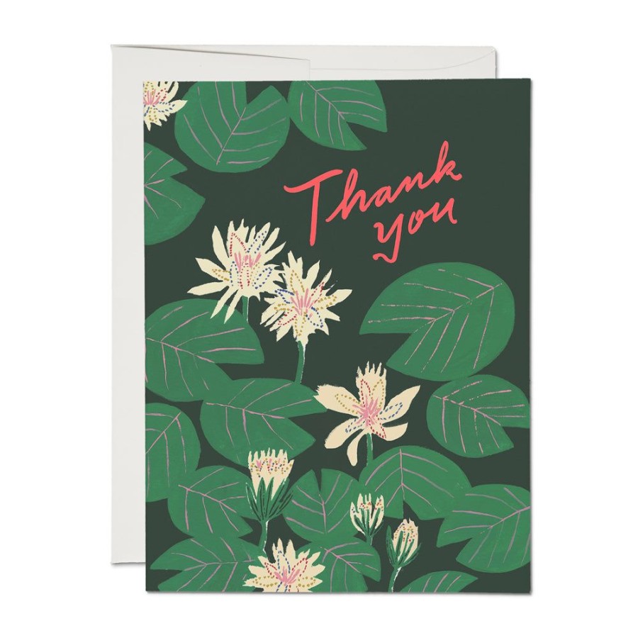 Cards Red Cap Cards | Water Lilies Thank You Card Set