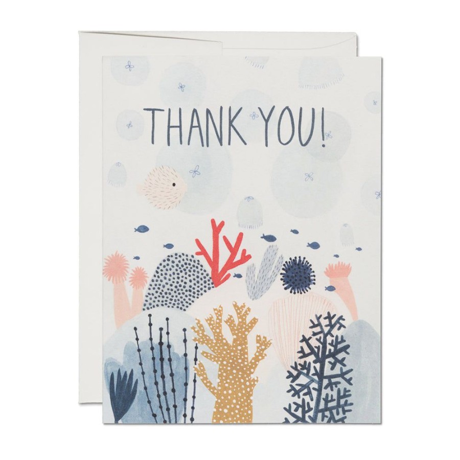 Cards Red Cap Cards | Coral Reef Thank You Card