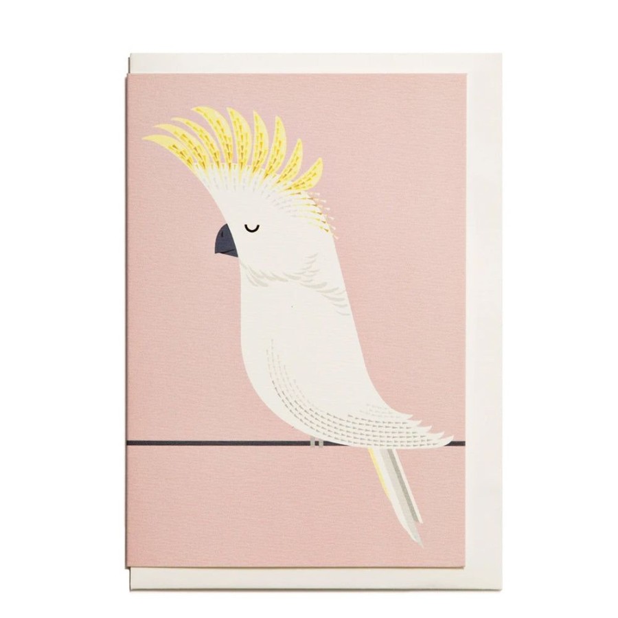 Cards I Ended Up Here | Cockatoo Card