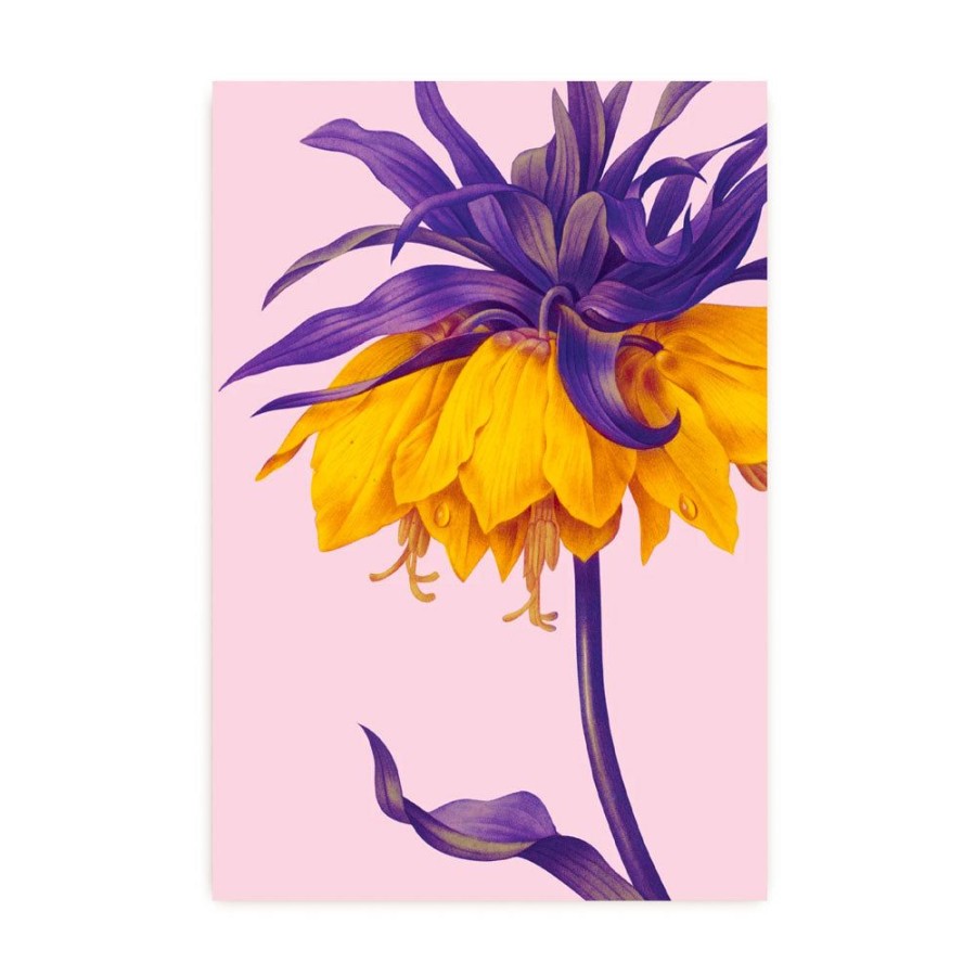 Cards Lagom Design | Yellow Crown Imperial Postcard