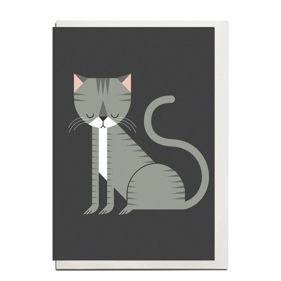 Cards I Ended Up Here | Tabby Cat Card